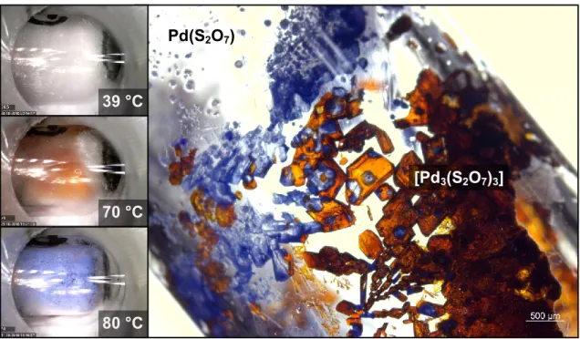 Abb. 16:  Momentaufnahmen  während  der  Heizphase  (links)  zeigen  die  entstehenden  Phasen  bei  der  ent- ent-sprechenden Temperatur am Ende der Ampulle