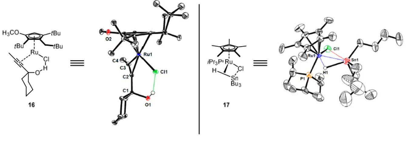 Abbildung 1.3. Molekülstrukturen der Komplexe 16 und 17. [27]