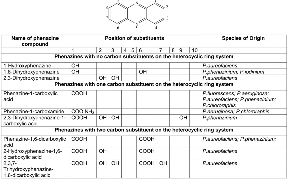 Table 1.1: Some of the phenazines synthesised by various species of Pseudomonas.  (From Turner &amp; Messenger, 1986) 