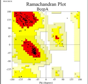 Figure 3.8: The position of various residues of the completed model of BcepA  in the Ramachandran plot