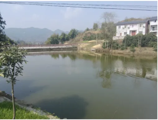 Figure 6.11 Previous Yantang now used as fish cultivation pool in Ma’an Village, Yubei District 