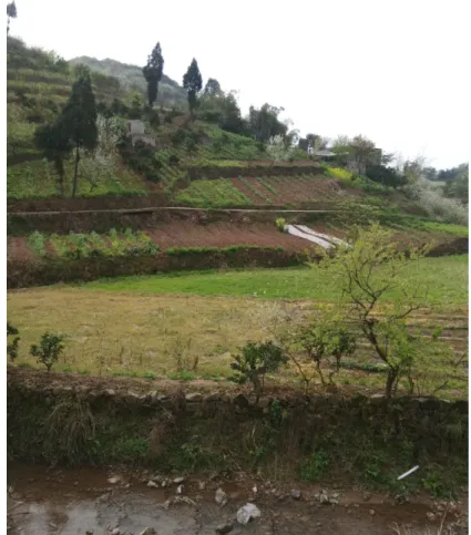 Figure 6.13 Typical dryland farming on slope and plain in Chongqing rural region 