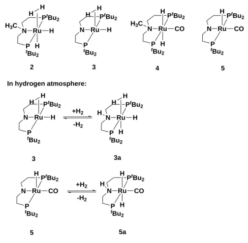 Figure 3.21. – Polyhydride Ru-PNP complexes 2-3 and CO functionalised Ru-PNP com- com-plexes 4-5