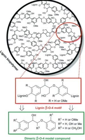 Fig. 2 Concept of lignin depolymerisation in ionic liquid followed by conversion of reactive intermediates using Ru-NPs and H 2 and  separa-tion of products.