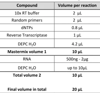 Table 2.5: Reaction mixture for cDNA synthesis  Compound  Volume per reaction 