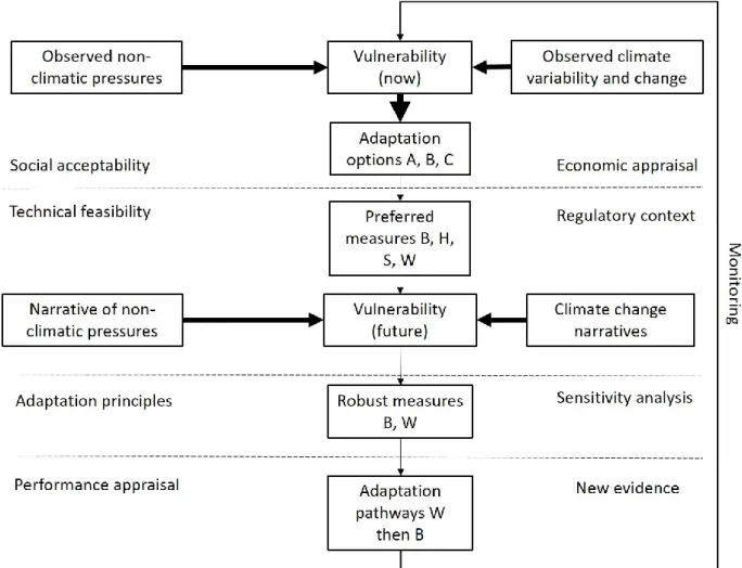 Figure 2-7: Conceptual framework used by Wilby and Dessai (2010) 
