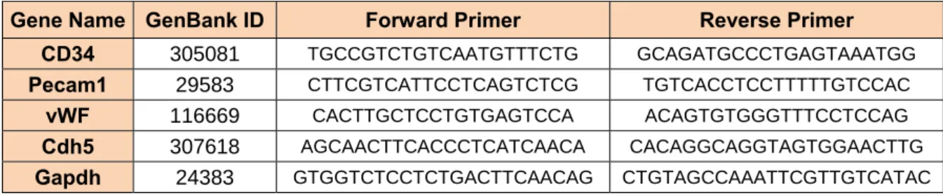 Table 3: The name of genes, their ID in Genbank and their designed primer sequences Gene Name  GenBank ID  Forward Primer  Reverse Primer 