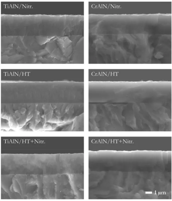 Figure 3. SEM micrographs of brittle fractured cross-sections of the TiAlN and CrAlN coatings  deposited on the different substrates