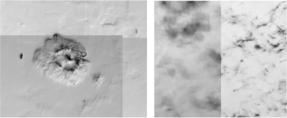 Fig. 6 A large contamination (left) and different sharpness of photos (right)