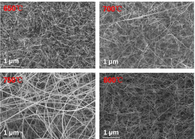 Figure  23:  SEM  images  of  SnO 2   nanowires  grown  at  different  deposition  temperatures