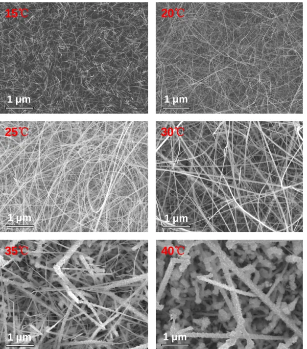 Figure  24:  SEM  images  of  SnO 2   nanowires  grown  at  different  precursor  temperatures