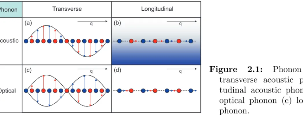 Figure 2.1: Phonon classification:(a) transverse acoustic phonon (b)  longi-tudinal acoustic phonon (c) transverse optical phonon (c) longitudinal optical phonon.