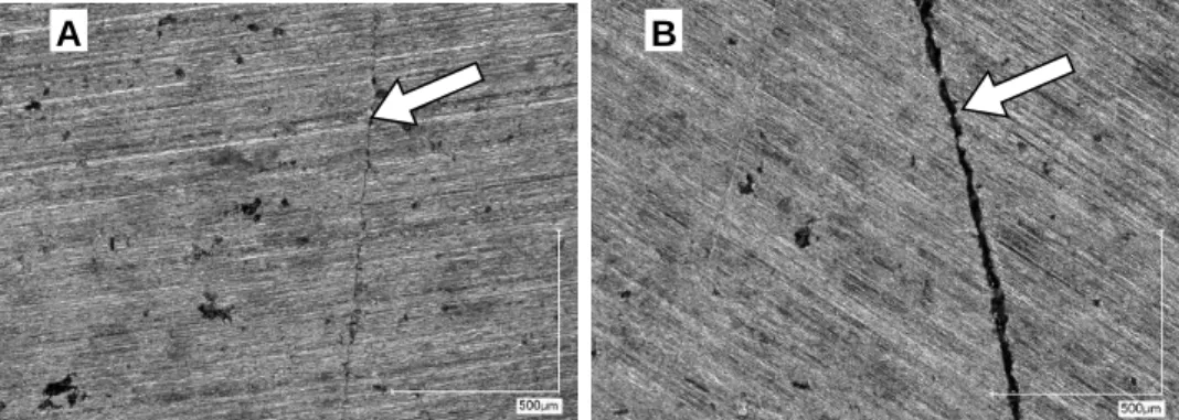 Figure 4: Microscopic images of tight (A) and weak (B) bonded zones in “bush-on-bush” joints  at  magnification  x200