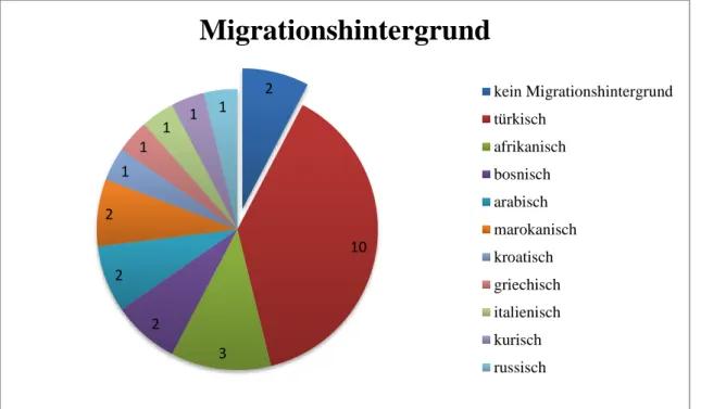 Abb. 10: Migrationshintergrund der Kinder (n=24) 