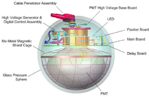 Figure 3.2: The schematic view of a Digital Optical Module containing a PMT, corresponding electronics and the acquisition board