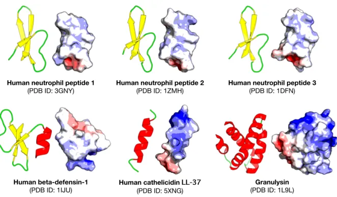 Figure 5: Structures of human-derived anticancer peptides 
