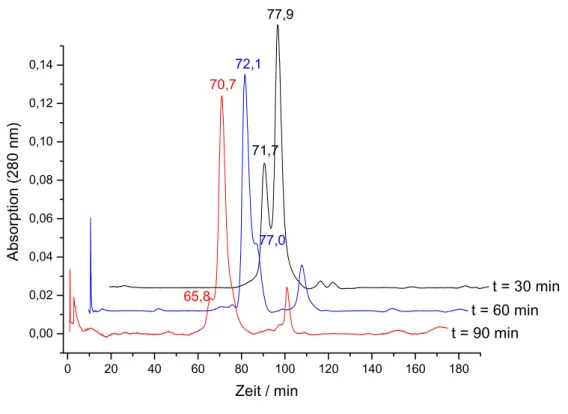 Abb. 7: Gelfiltrationsanalyse der Bestrahlung von 25 µM Dam18HP mit Dam DNA-MTase in Gegenwart von 100 µM AdoMet (Verhältnis Hairpin-ODN zu Dam DNA-MTase: 30 min 1:1, 60 min 1:3, 90 min 1:5).