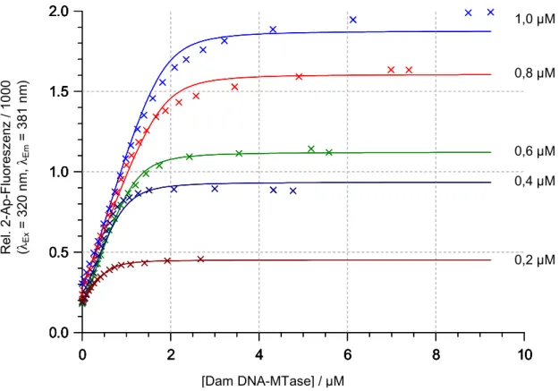 Abb. 17: Global-Fit Analyse der 2-Ap-Fluoreszenz Titrationen von verschiedenen Konzentrationen an DamP(A2Ap)18h mit Dam DNA-MTase