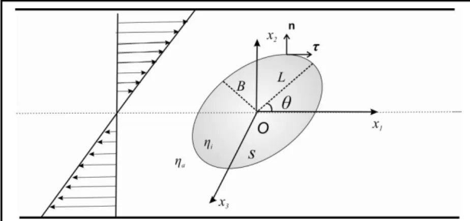 Abb. 2-20:  Elliptische Deformation einer ursprünglich sphärischen Mikrokapsel im Scherfeld  [116].