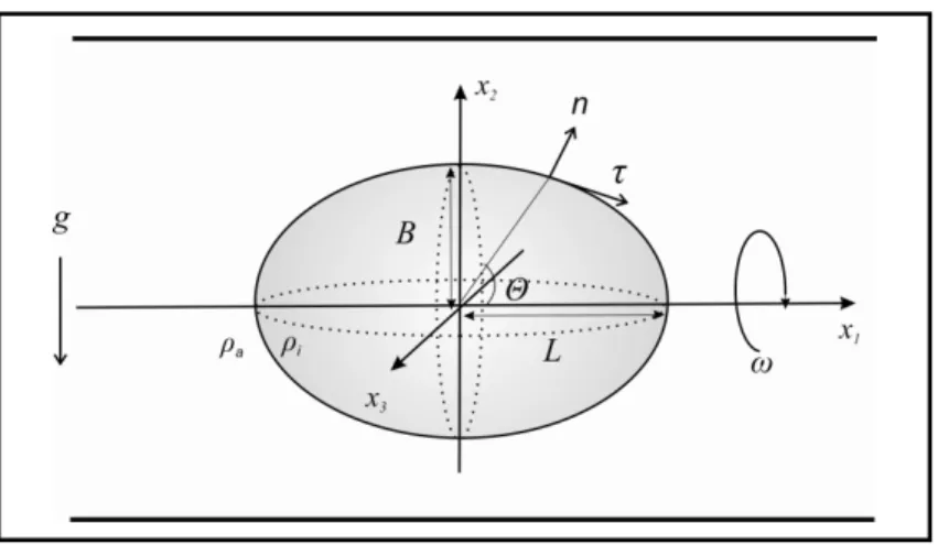 Abb. 2-27:  Deformation einer ursprünglich sphärischen, elastischen Kapsel im Zentrifugalfeld  [8] 