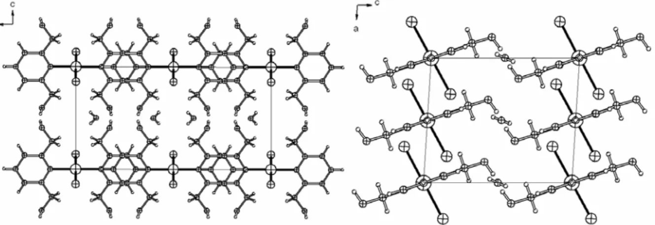 Abbildung 3.2.5: Packungsstruktur von [(pydimH 2 ) 2 PdCl]  9a . H 2 O entlang den kristallographischen  Achsen a (links) und b (rechts); H-Brückenbindungen sind der Übersicht wegen nicht gezeigt.
