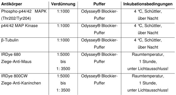 Tabelle  6:  Inkubationsbedingungen  und  Antikörperverdünnungen  für  den  immunonologischen Nachweis mit IR-markierten sekundären Antikörpern 