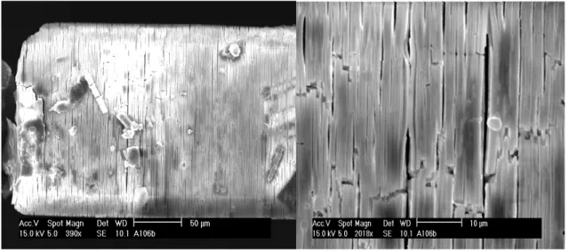 Abbildung  11:  Mg 3 (btc)(Hbtc)(H 2 btc)(DMF) 6 :  Abbildungen  eines  Kristalles,  aufgenommen  mit  einem  Rasterelektronenmikroskop