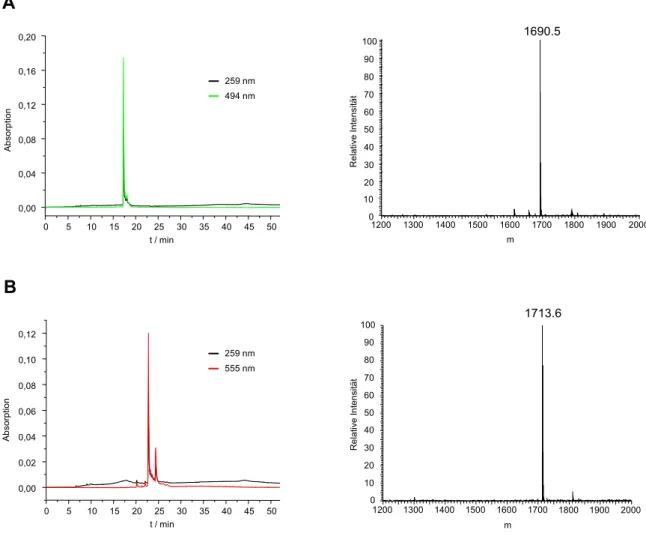 Abb. 16: HPLC-Chromatogramme und Massenspektren von (A) P 3 -(N ε -(N-FITC-[K5, V6, A7]-CONH 2 - -Kemptide)-lysyl)-P 1 -adenosin-triphosphat 2 und (B) P 3 -(N ε -(N-TRITC-[K5, V6, A7]-CONH 2 -Kemptide)-lysyl)-P 1  -adenosin-triphosphat 3 nach Reinigung