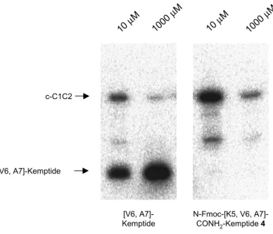 Abb. 18: Autoradiogramme der Verdrängung von [γ- 32 P]-ATP durch [V6, A7]-Kemptide und N-Fmoc-[K5, V6,  A7]-CONH 2 -Kemptide 4 bei der Phosphorylierung von c-C1C2 durch PKA-C