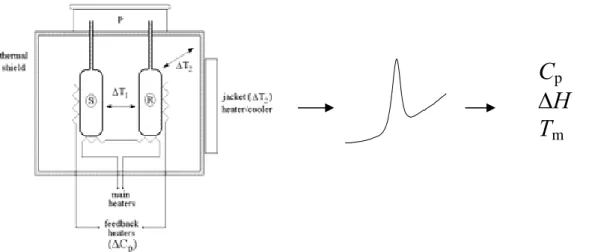 Abbildung 9: Schematischer Aufbau der DSC (Quelle: MicroCal), schematische Meßkurve und  Parameter