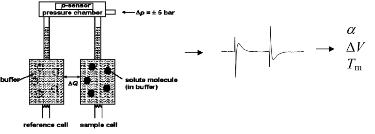 Abbildung 10: Schematischer Aufbau der PPC bzw. schematische Abbildung einer Messkurve und die  daraus bestimmbaren Parameter (Microcal user note, 2000)