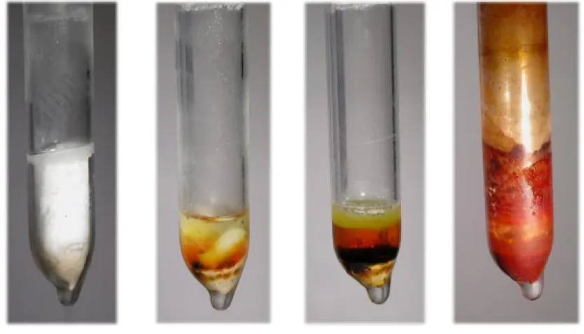 Abbildung 2: Tieftemperatur-Oxidation von Ytterbium-Metall mit Benzimidazol in flüssigem Ammoniak