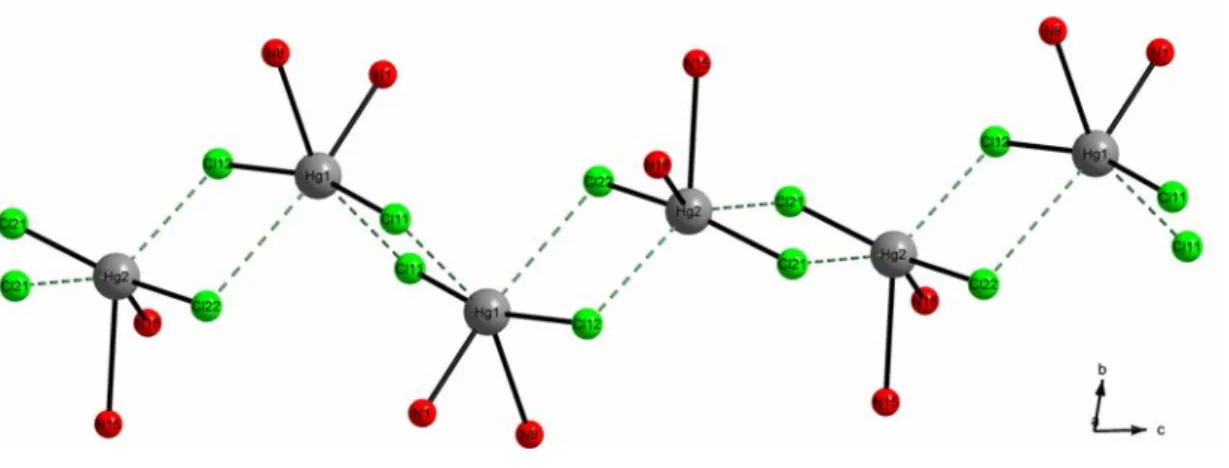 Abbildung 43: Anordnung der Hg- und Cl-Atome benachbarter Koordinationseinheiten zueinan- zueinan-der