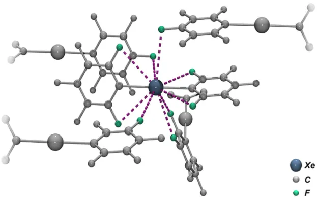 Abbildung 2.3:  Fluor-Koordinationssphäre eines ausgewählten Xenon-Atoms. Die C 6 F 5 -Gruppen sind aus  Gründen der Übersichtlichkeit teilweise nur als Fragment angedeutet, die nicht in der  Koordinationssphäre befindlichen Fluoratome sind grau dargestell