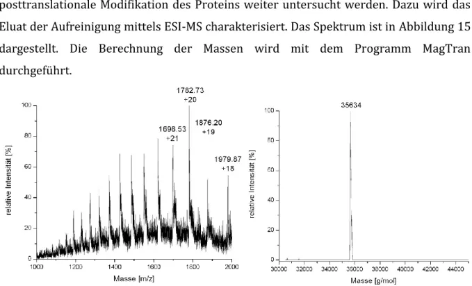 Abbildung 15: ESI-MS-Spektrum von GFP-GPI mit der mittels MagTran berechneten Masse. 