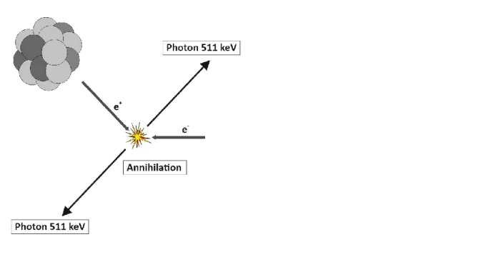 Abbildung  3:  Schematische  Darstellung  der  Annihilation  eines  Positrons  e +   mit  einem  Elektron e -  zu zwei Gammaphotonen