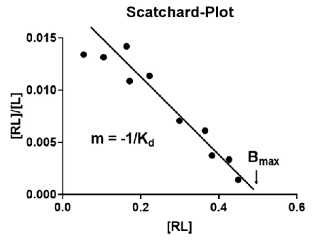 Abbildung 10: Exemplarische Darstellung der Affinitätsbestimmung mittels Scatchard-Plot