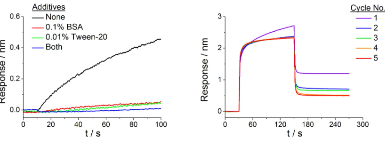 Figure 3.11 │ HSP47 shows unspecific binding to SA biosensors. (Left) HSP47 (1.5 µM) associates to a blank  SA  biosensor  in  standard  assay  buffer  (black)
