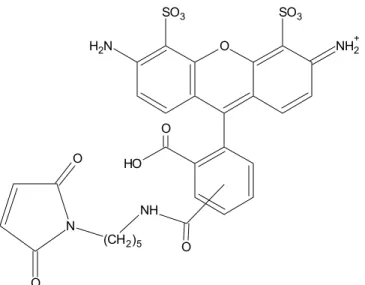 Abbildung 2.2.3-1: Strukturformel von Alexa Fluor ®  488 C5-maleimid.