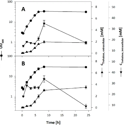 Figure  8:  Trehalose  overproduction  in  C.  glutamicum  ΔtreS  (pXMJ19_otsBA E.  coli )  (A)  and  C