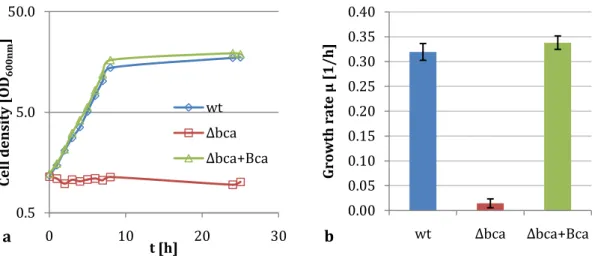 Figure  3.5:  Growth  kinetics  (a)  and  growth  rates  (b)  of  C.  glutamicum  wild  type,  Δbca  and  Δbca+Bca  at  atmospheric CO 2 