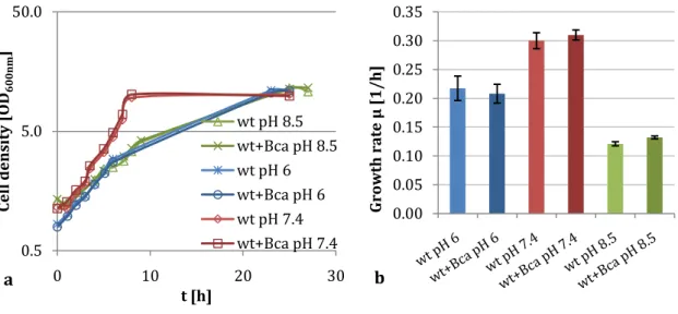Figure  3.6:  Growth  kinetics  (a)  and  growth  rates  (b)  of  C.  glutamicum  wild  type  with  and  without  bca  overexpression at various pH values