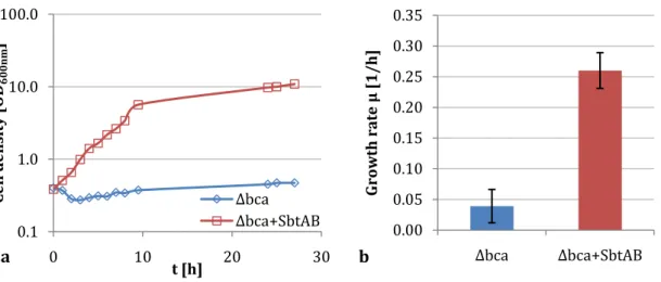 Figure  3.11:  Growth  kinetics  (a)  and  growth  rates  (b)  of  C.  glutamicum  Δbca  with  and  without  SbtAB  at  atmospheric CO 2 