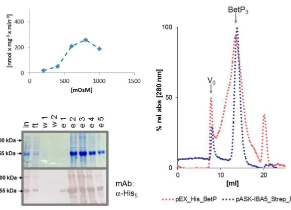 Fig. 3-13: Betaine uptake activity of reconstituted His tagged BetP expressed from the pEX_His_BetP vector  (upper  left)