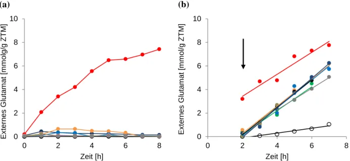 Abb.  20:  Externe  Glutamatkonzentration  ohne  Penicillin    (a)  und  nach  Auslösen  der  Exkretion  mittels Penicillin (b) bei annähernd gleichen Expressionsniveaus von MscCG-His und verkürzten  Derivaten