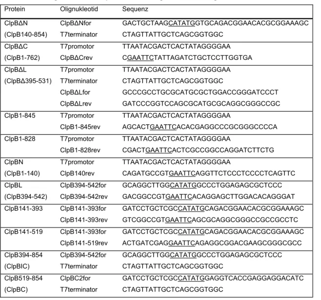 Tabelle 2.2 Oligonukleotidsequenzen für die gerichtete Mutagenese  Protein Olignukleotid  Sequenz 