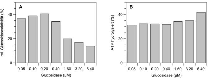 Abb. 3.2.2 Rückfaltung verschiedener α-Glucosidasekonzentrationen und ATP-Verbrauch  A Rückfaltung verschiedener α-Glucosidasekonzentrationen  