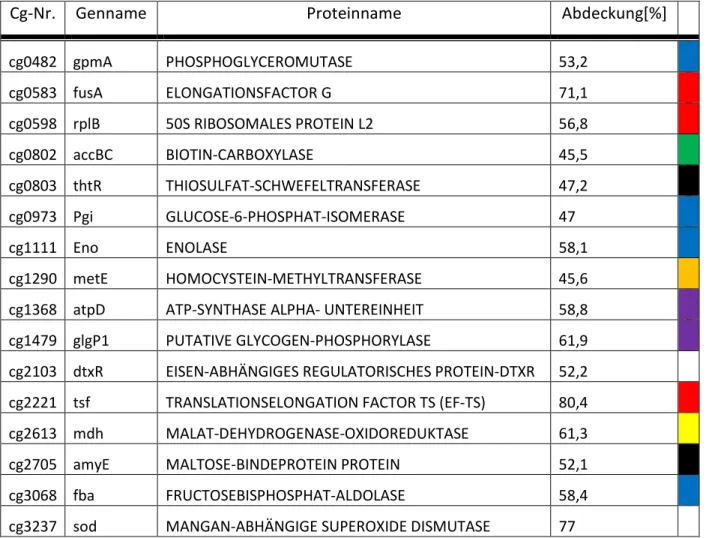 Tabelle  6:  Oxidierte  Proteine  aus  der  massenspektrometrischen  Analyse  des  ZMMK