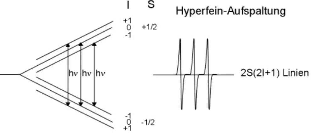 Abb. 7: Hyperfeinaufspaltung der  Zeeman-Niveaus durch Wechselwirkung mit dem Kernspin am Beispiel des Stickstoffs (I = 1)