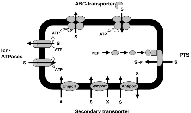 Figure 5: Important classes of bacterial transport systems. S - substrate; X - ion (e.g